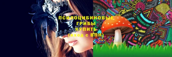 гидропоника Алзамай