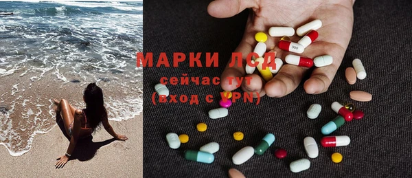 гидропоника Алзамай