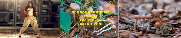 гидропоника Алзамай