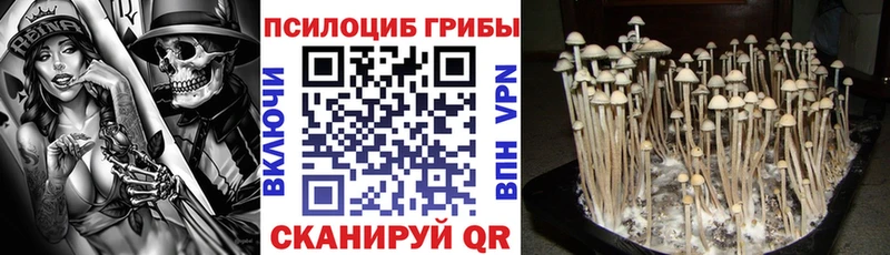 Псилоцибиновые грибы Psilocybine cubensis  Изобильный 